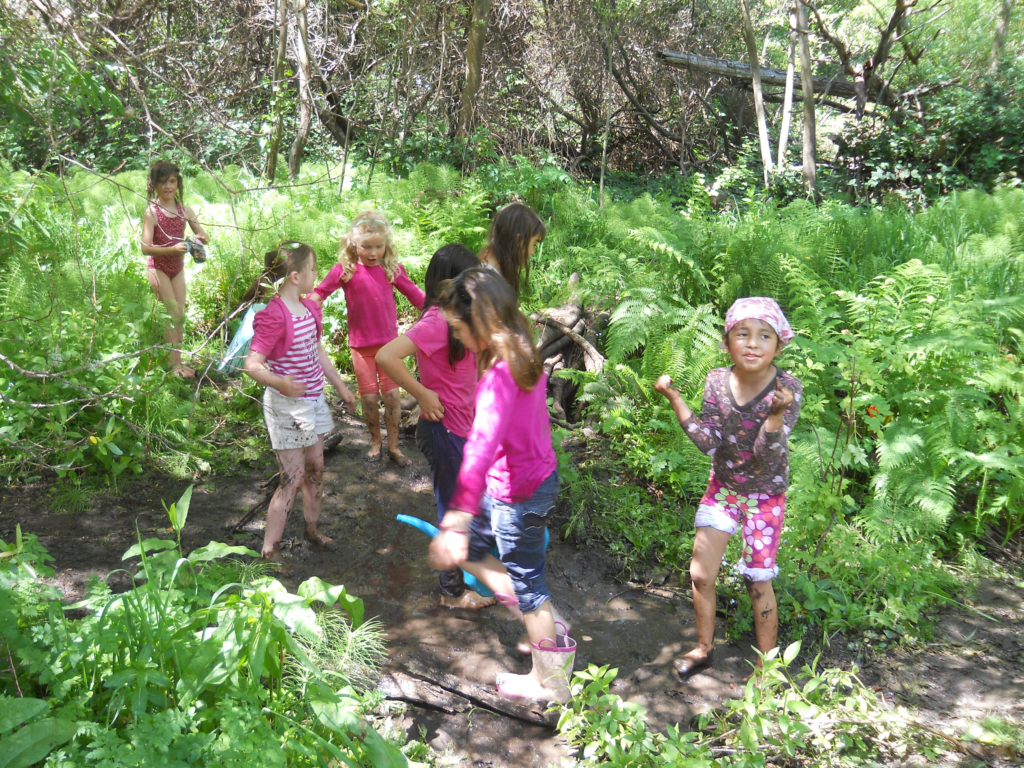 Friends of Willow Creek - Events